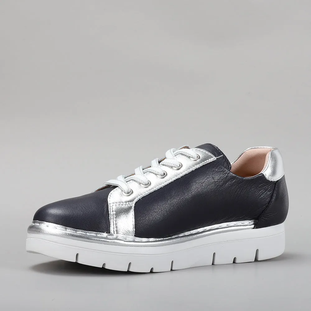 Beagle - Navy Silver