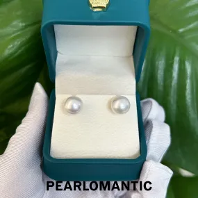 [Fine Jewelry] 18k Gold & Australian White Pearl 9-10mm Classic Earring Studs