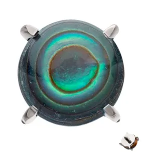 Prong Set Abalone Shell Titanium Internally Threaded Top