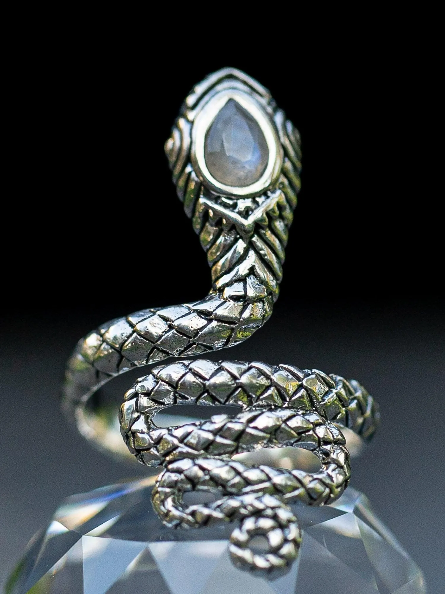 Serpent Ring