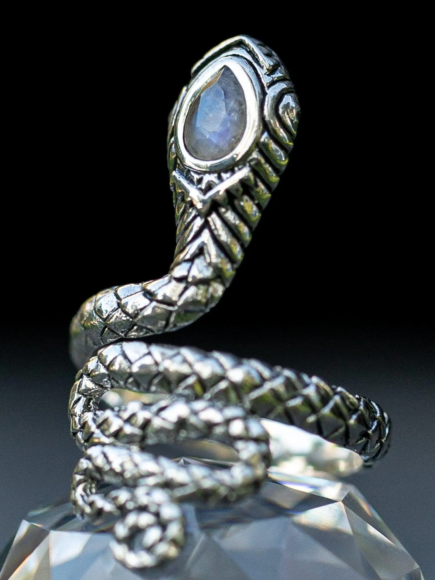 Serpent Ring