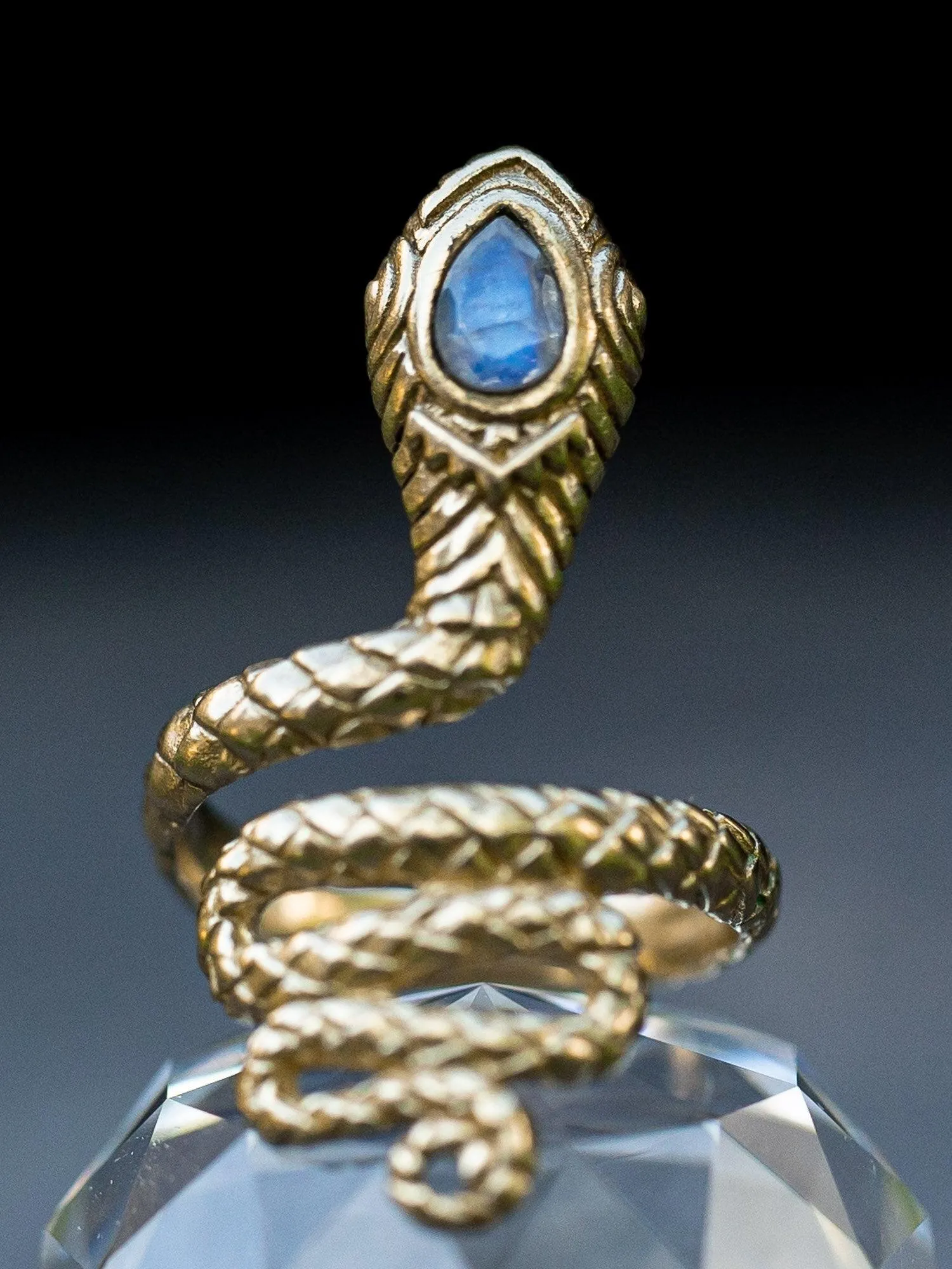 Serpent Ring